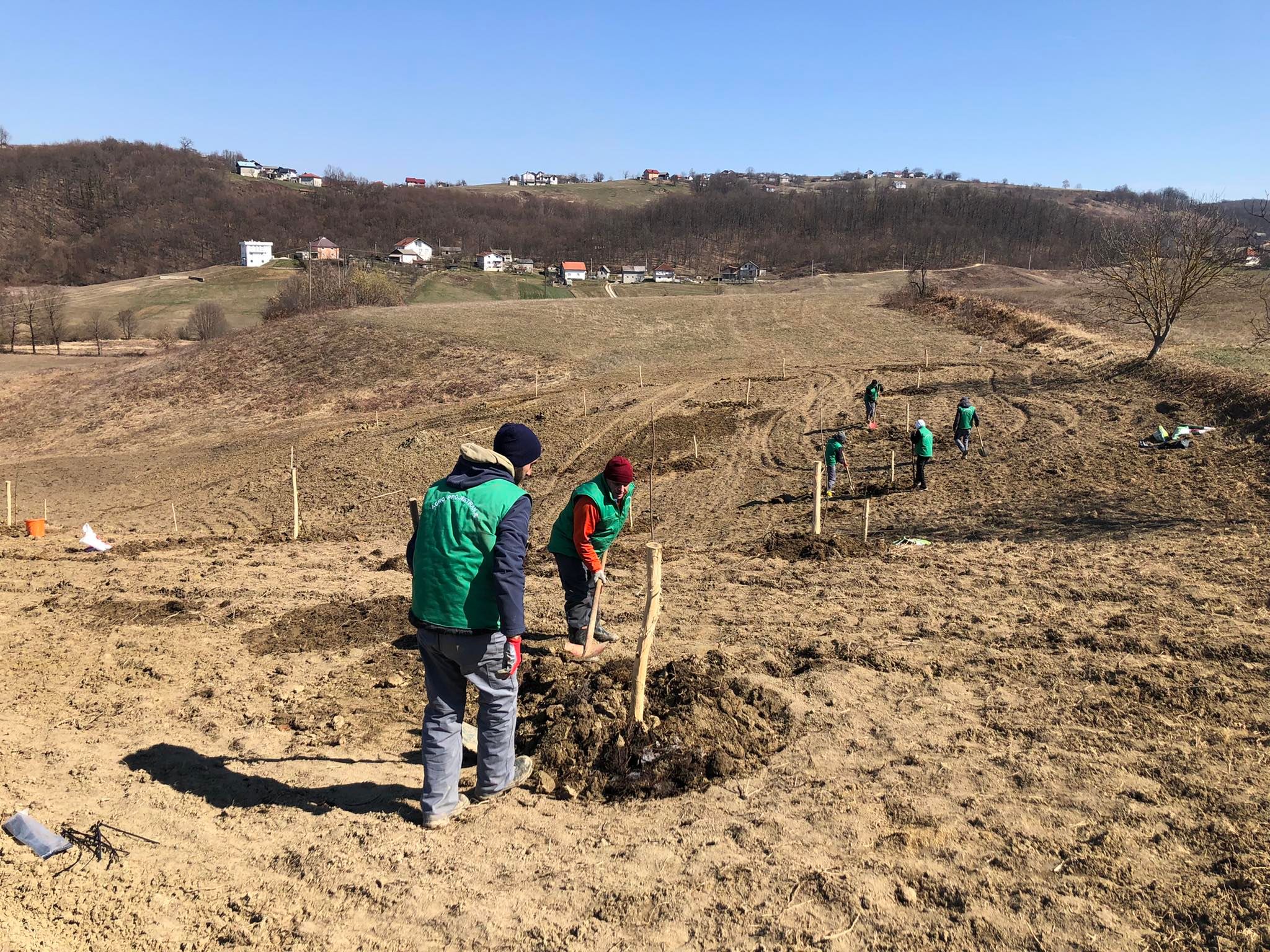 agro projektiranje (241)