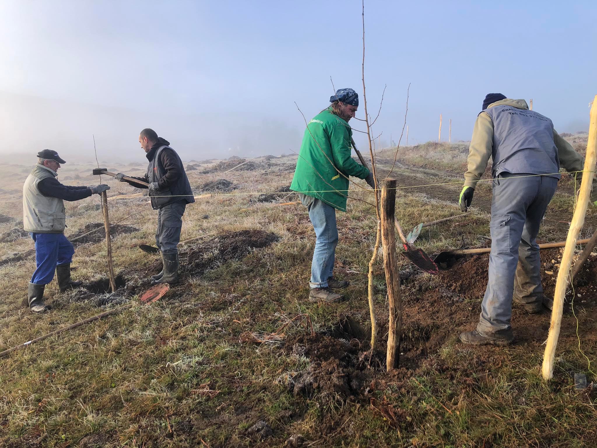 agro projektiranje (243)