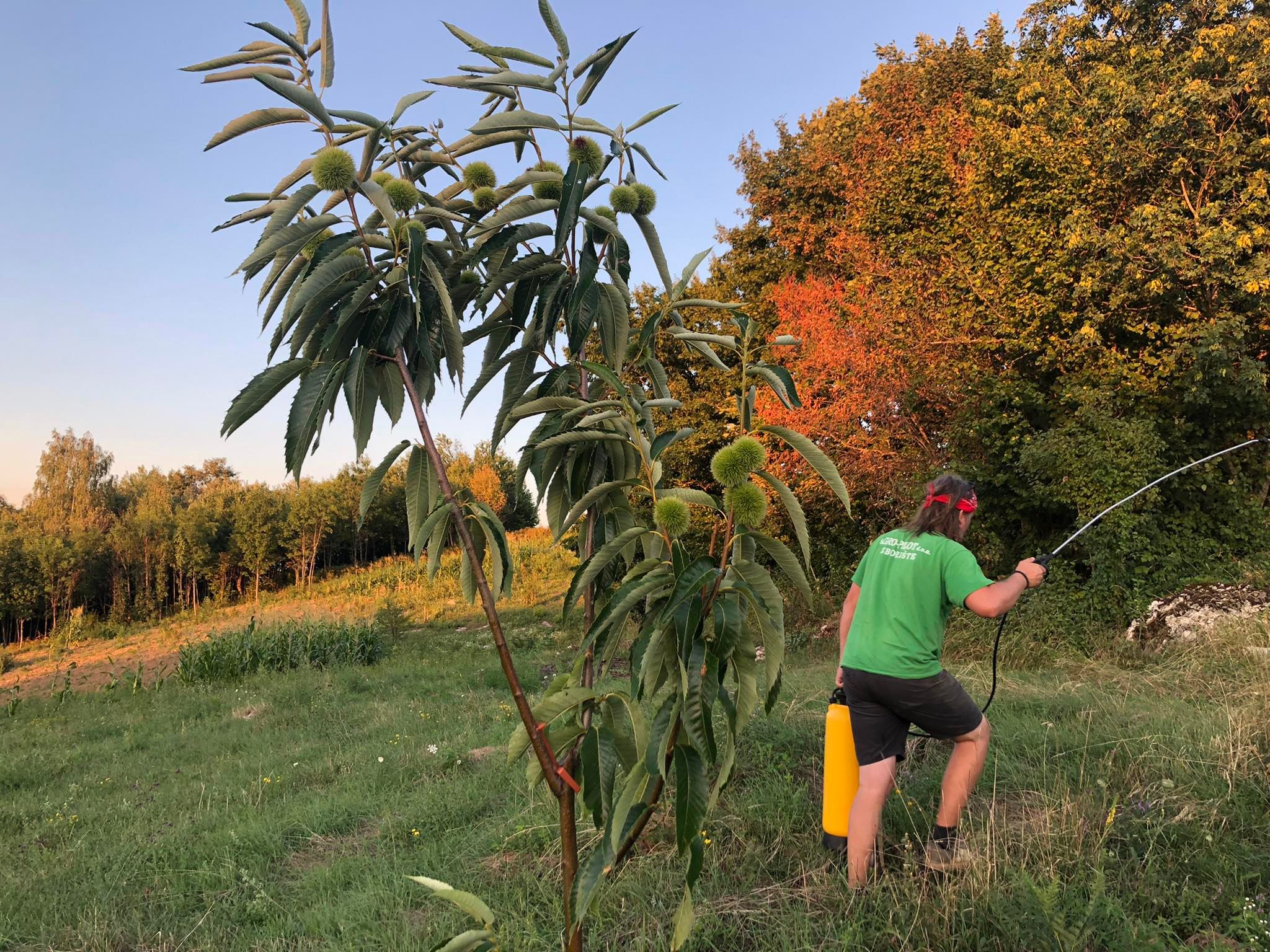 agro projektiranje (248)