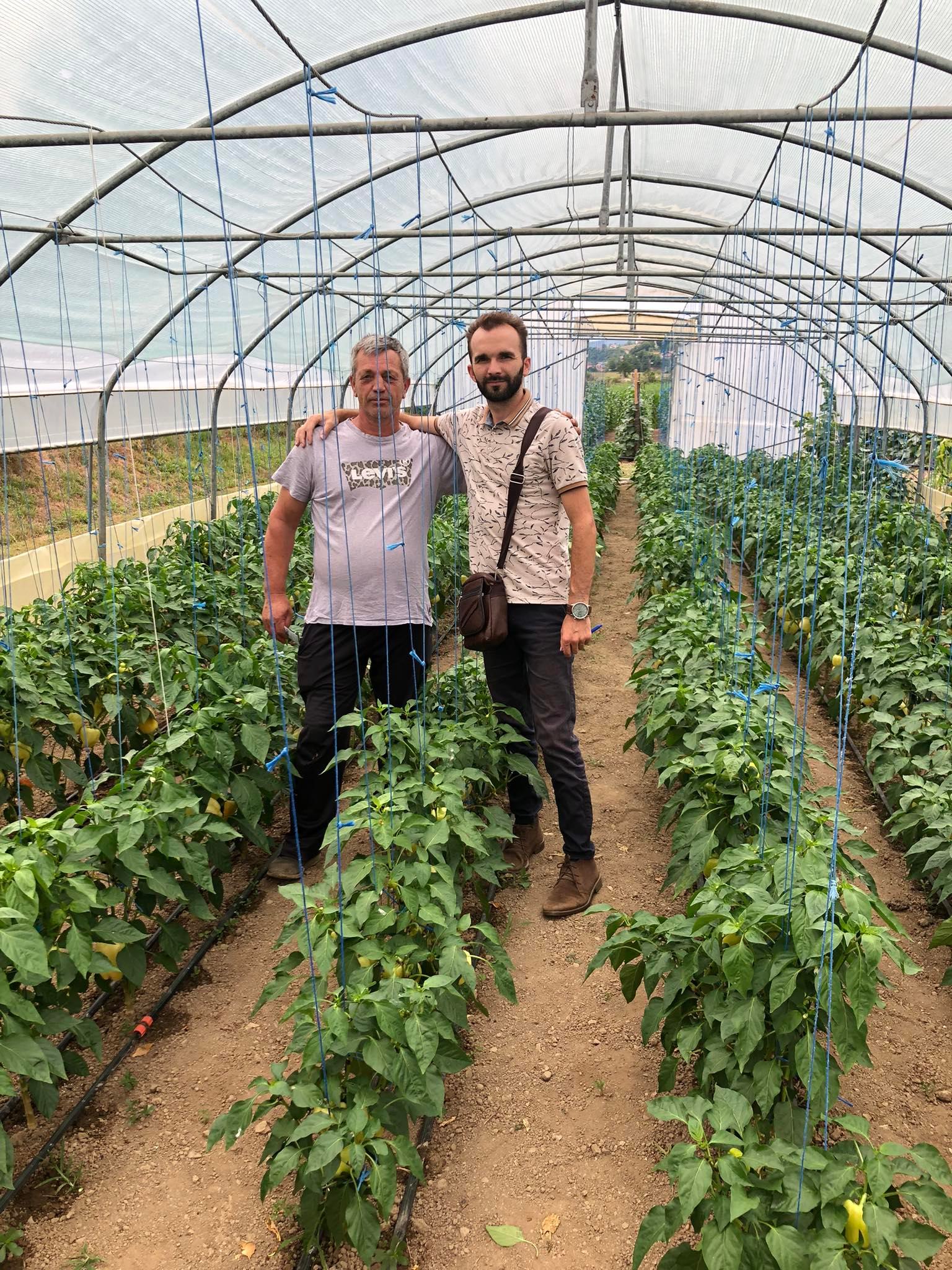 agro projektiranje (254)
