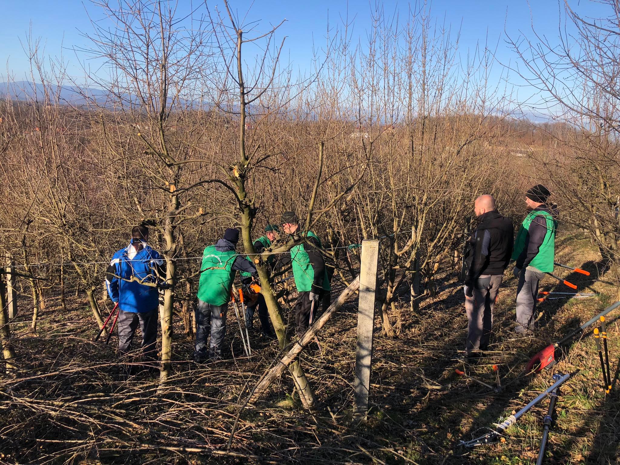 agro projektiranje (263)