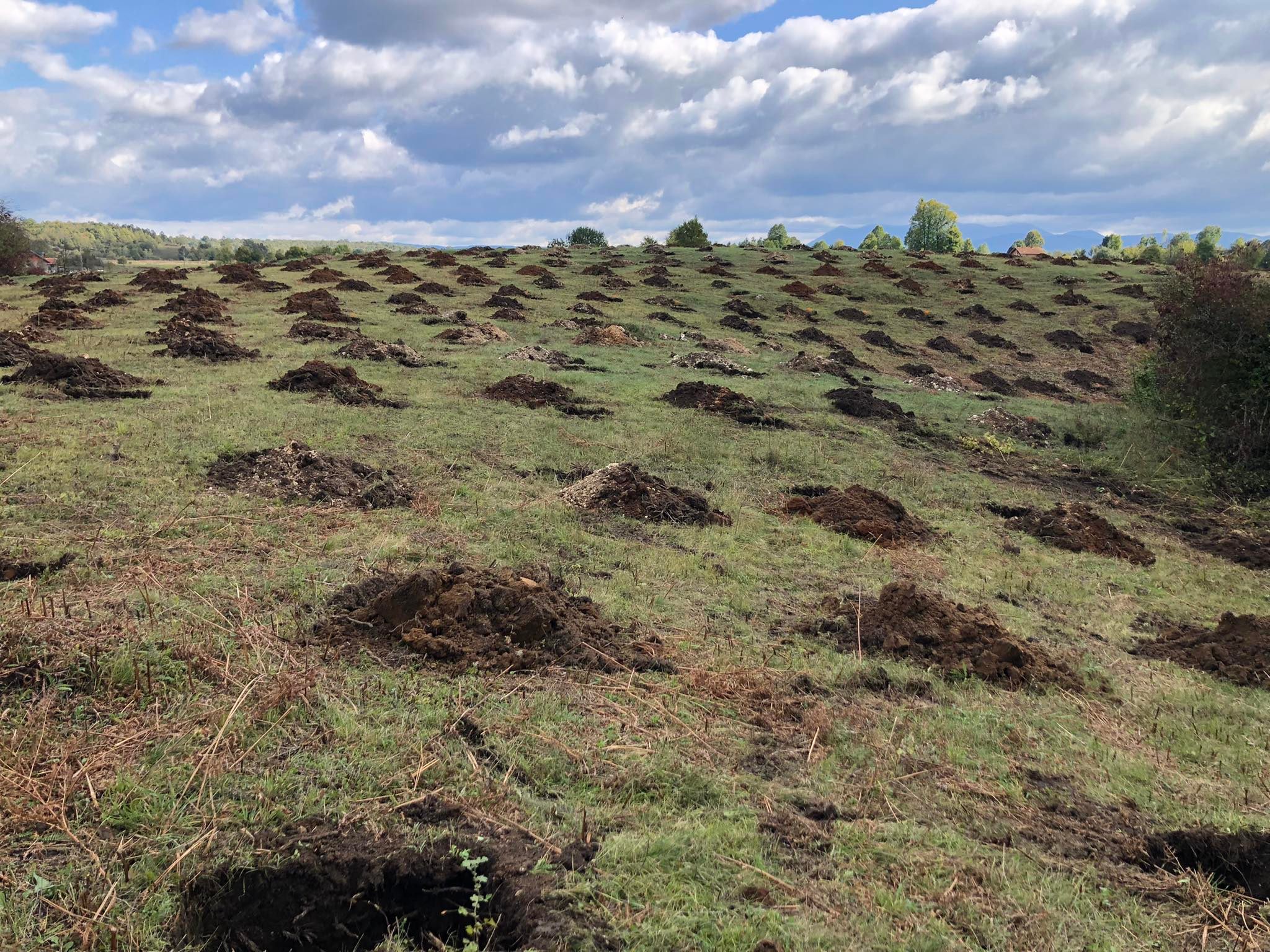 agro projektiranje (271)