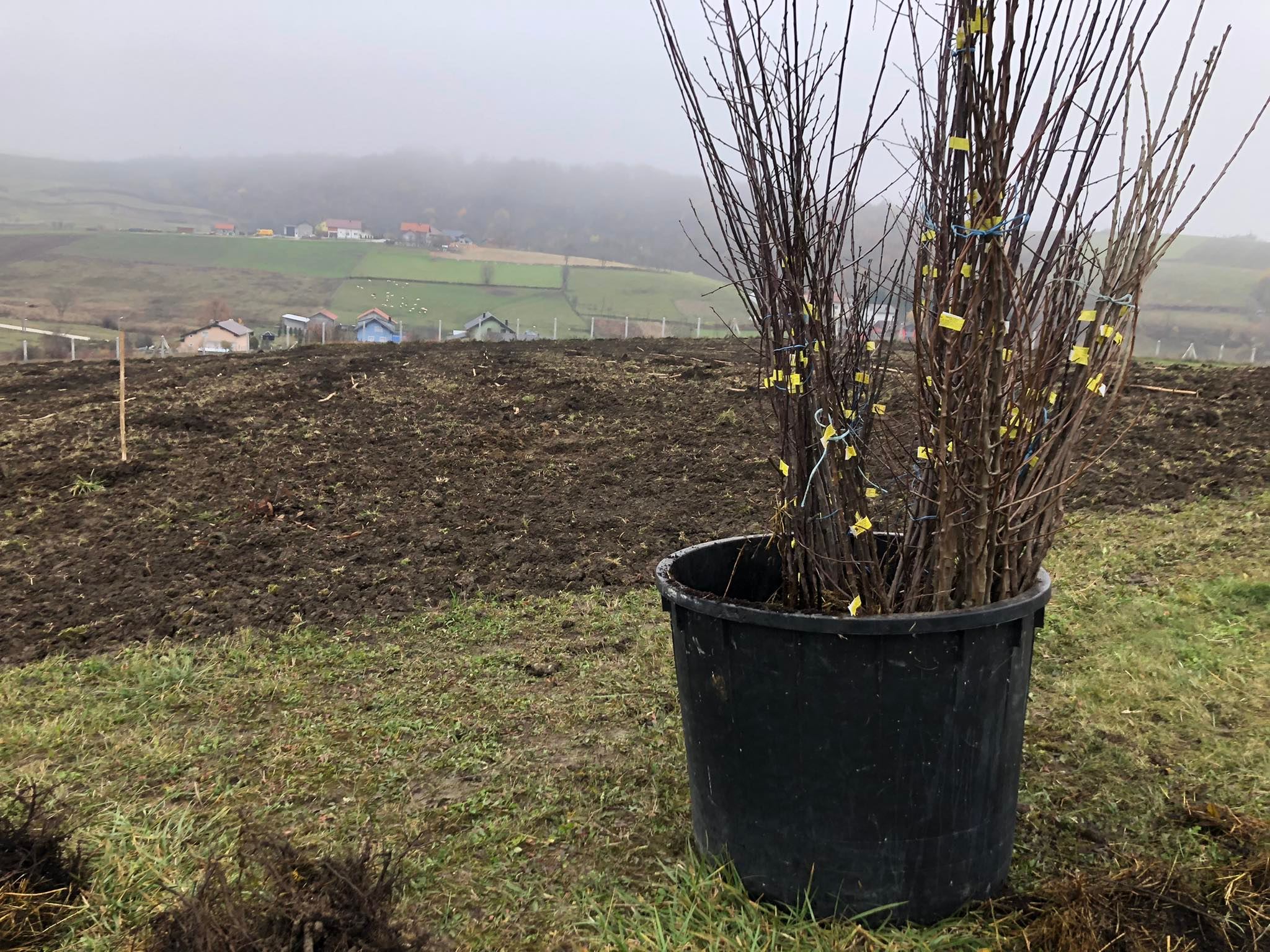 agro projektiranje (275)