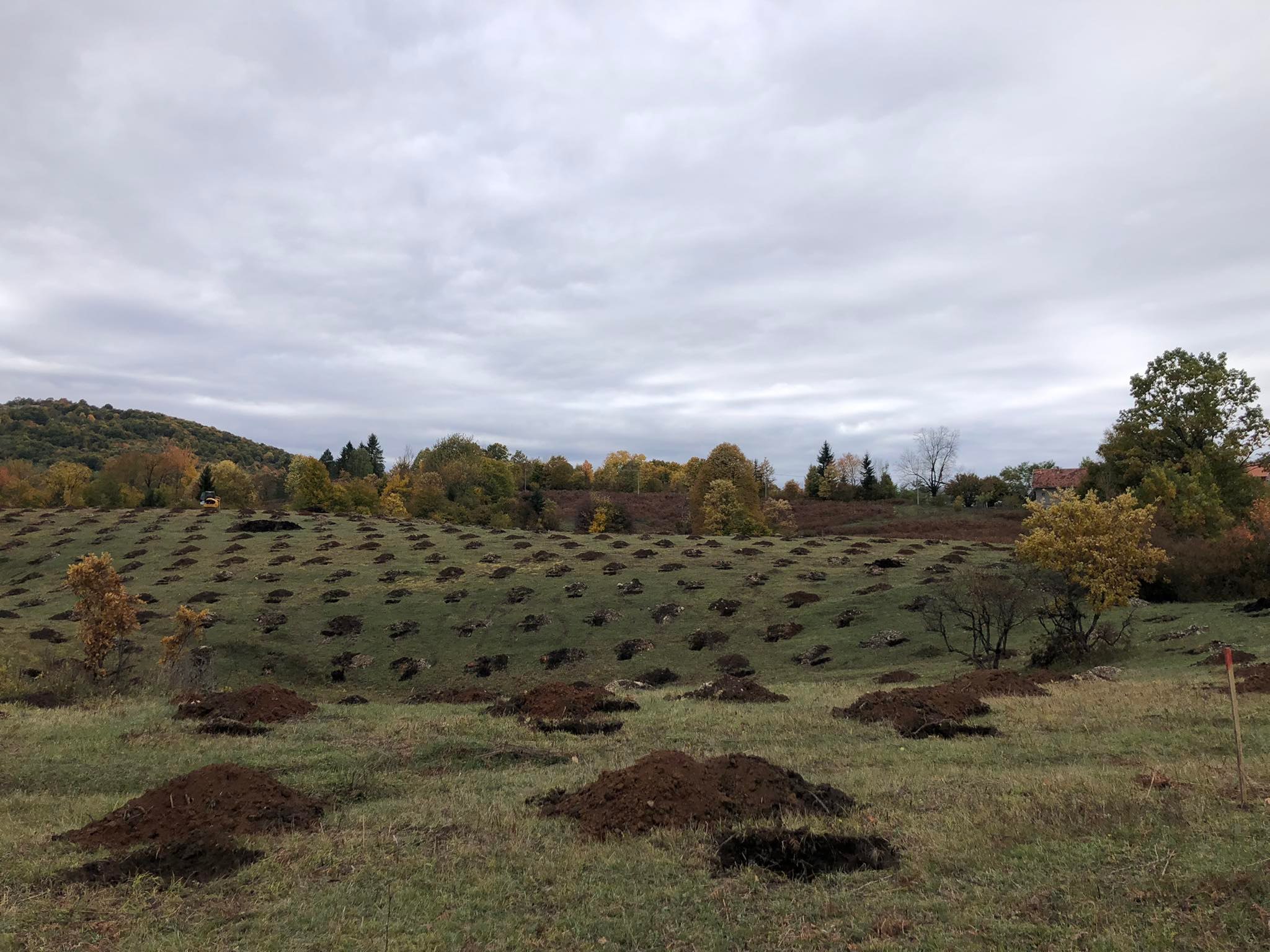agro projektiranje (278)