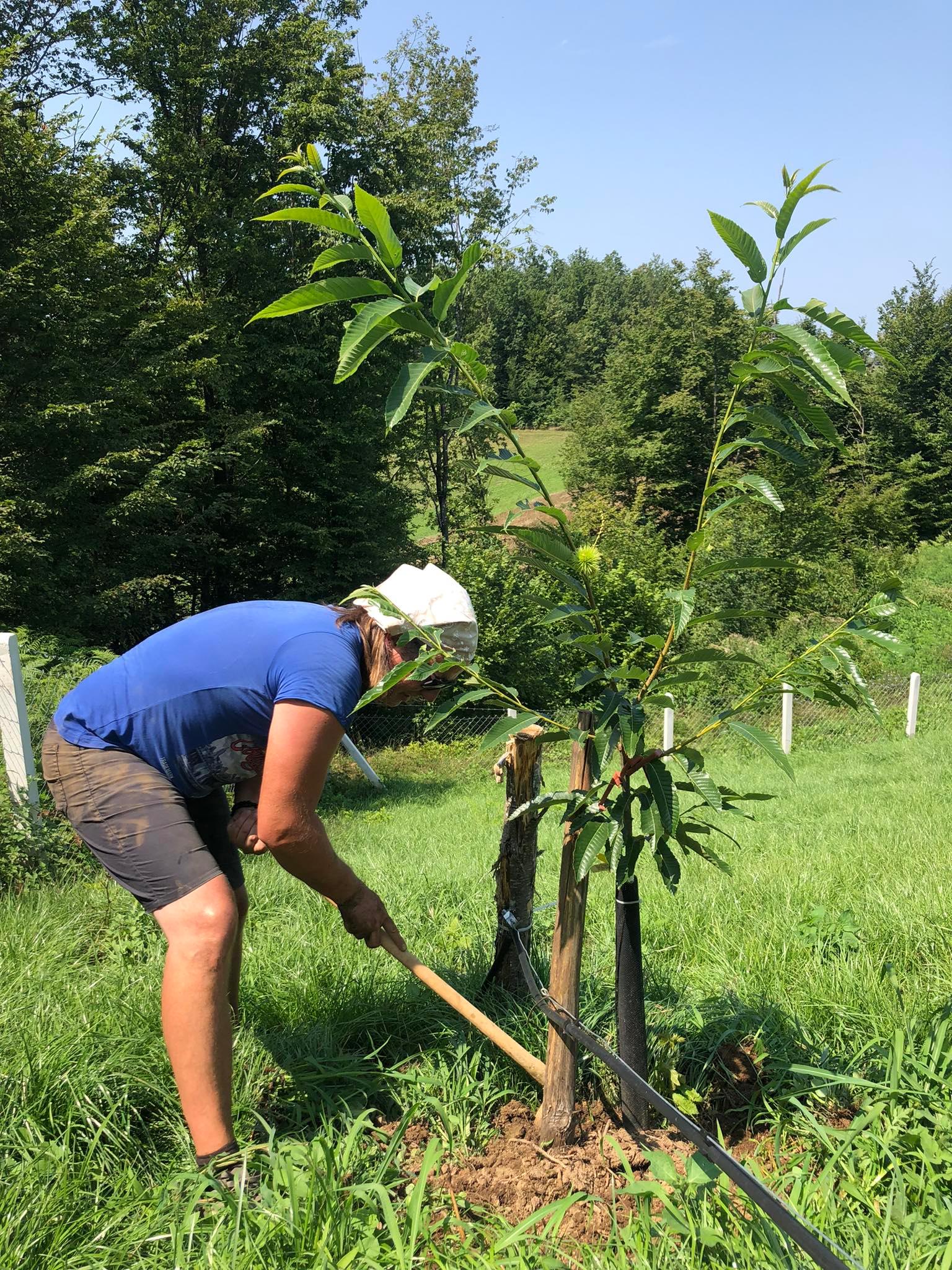 agro projektiranje (279)