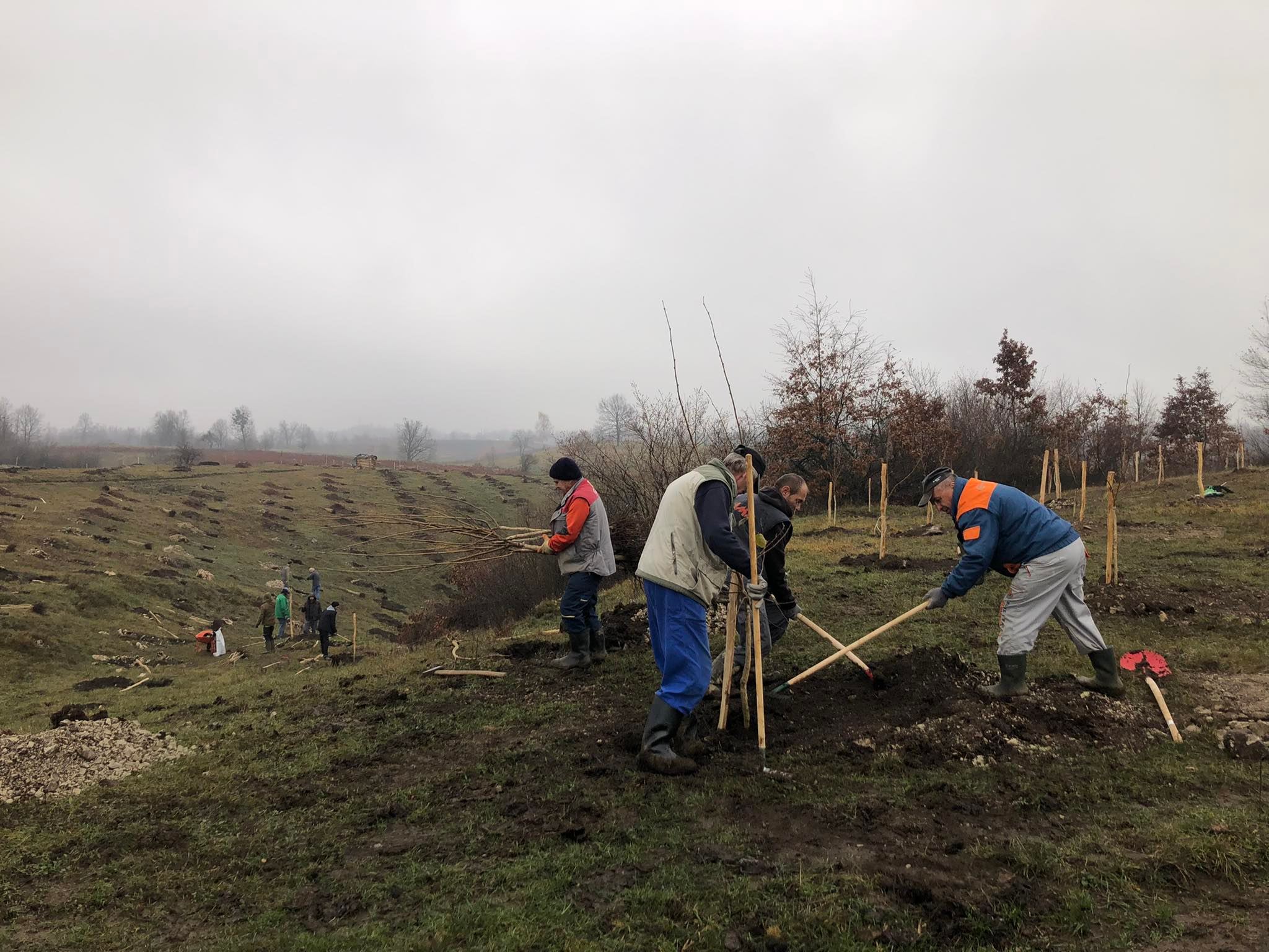 agro projektiranje (281)