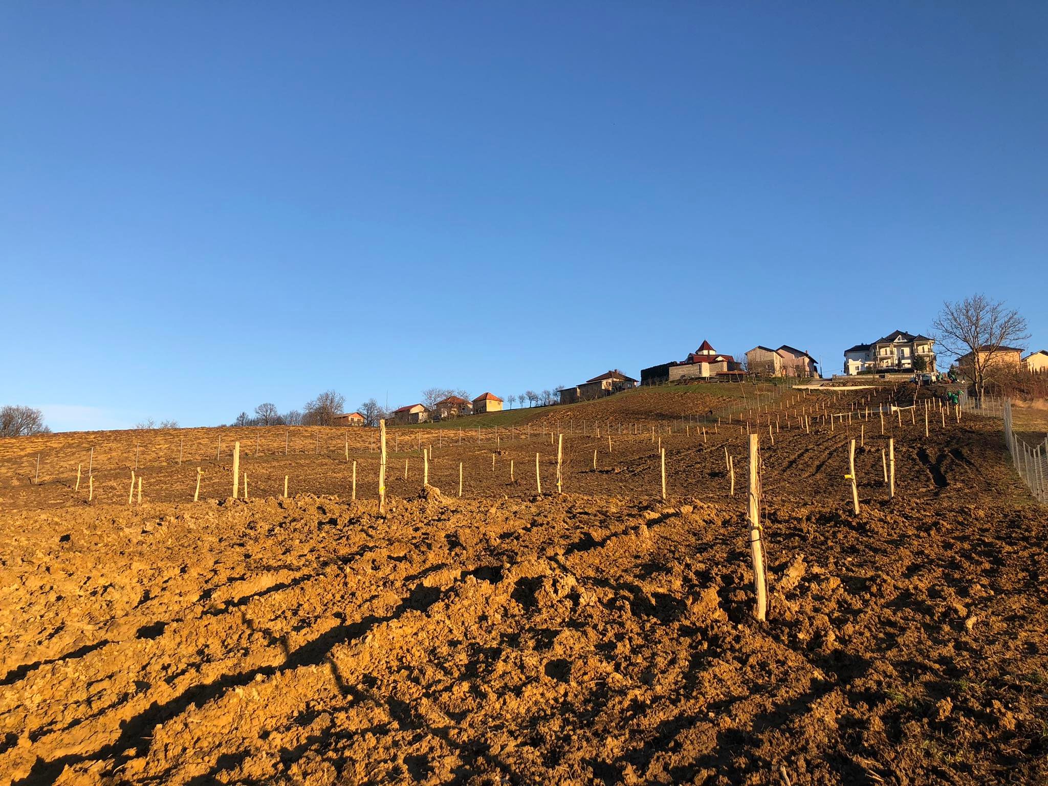 agro projektiranje (284)