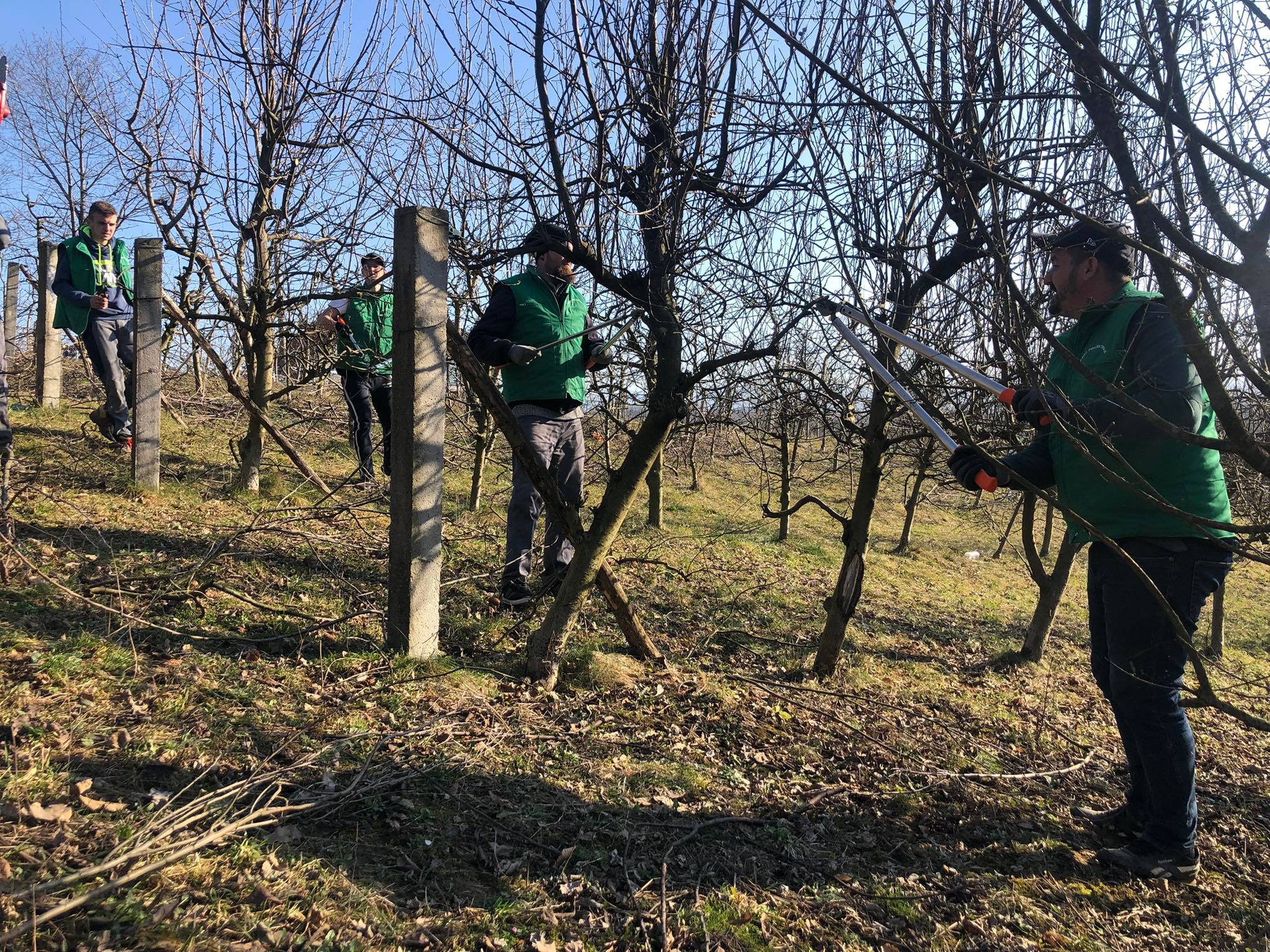 agro projektiranje (286)