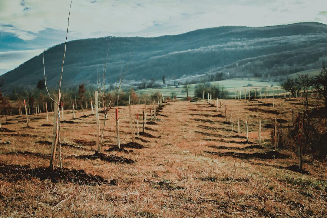 agro projektiranje (288)