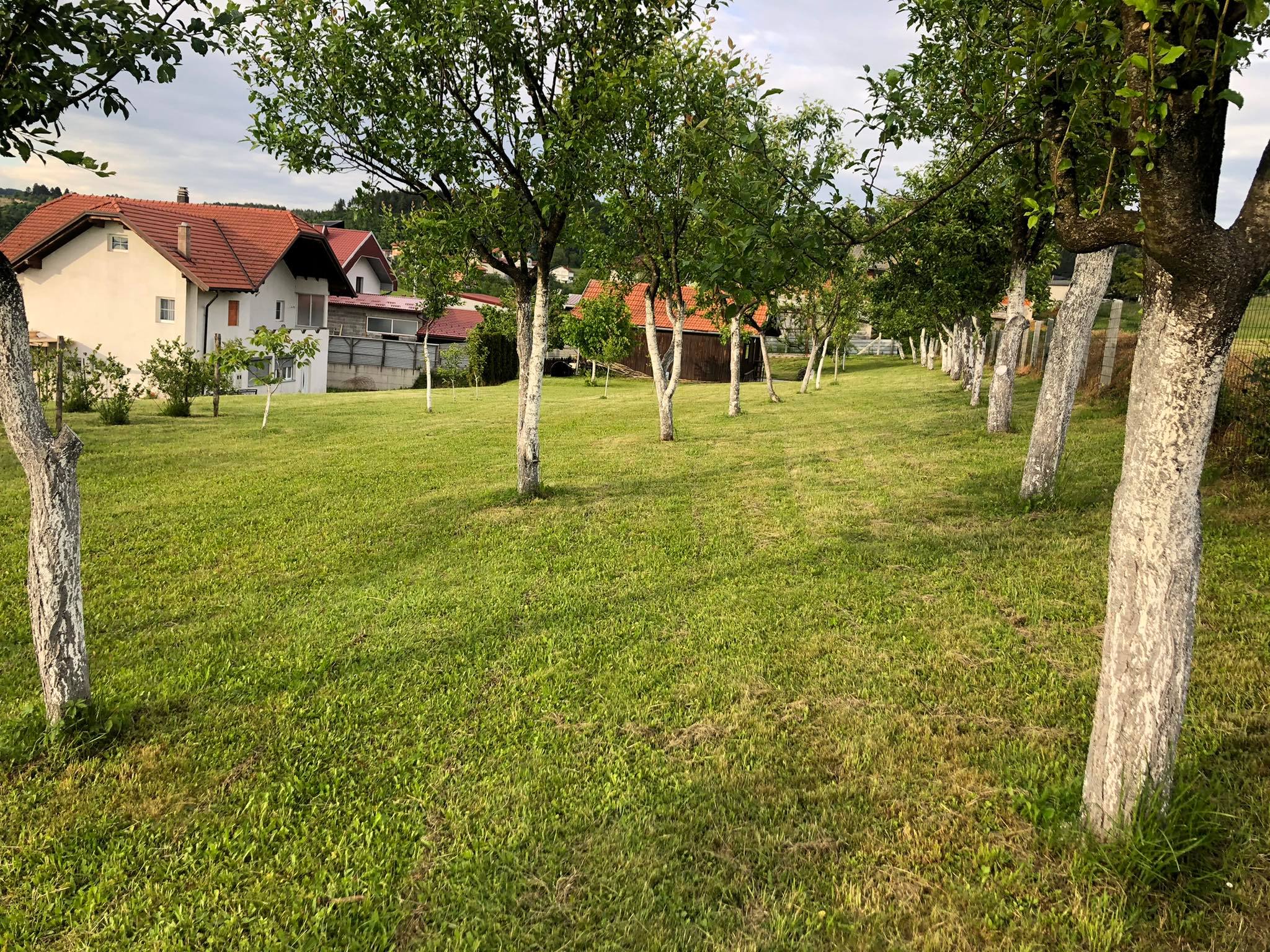 agro projektiranje (303)