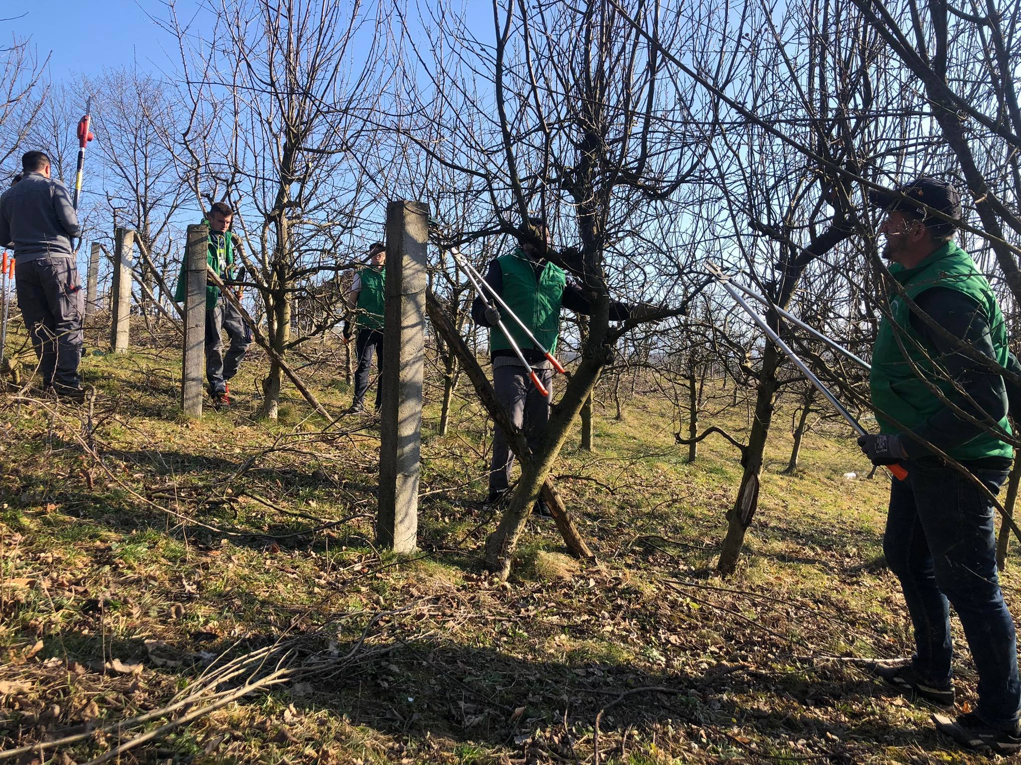 agro projektiranje (313)