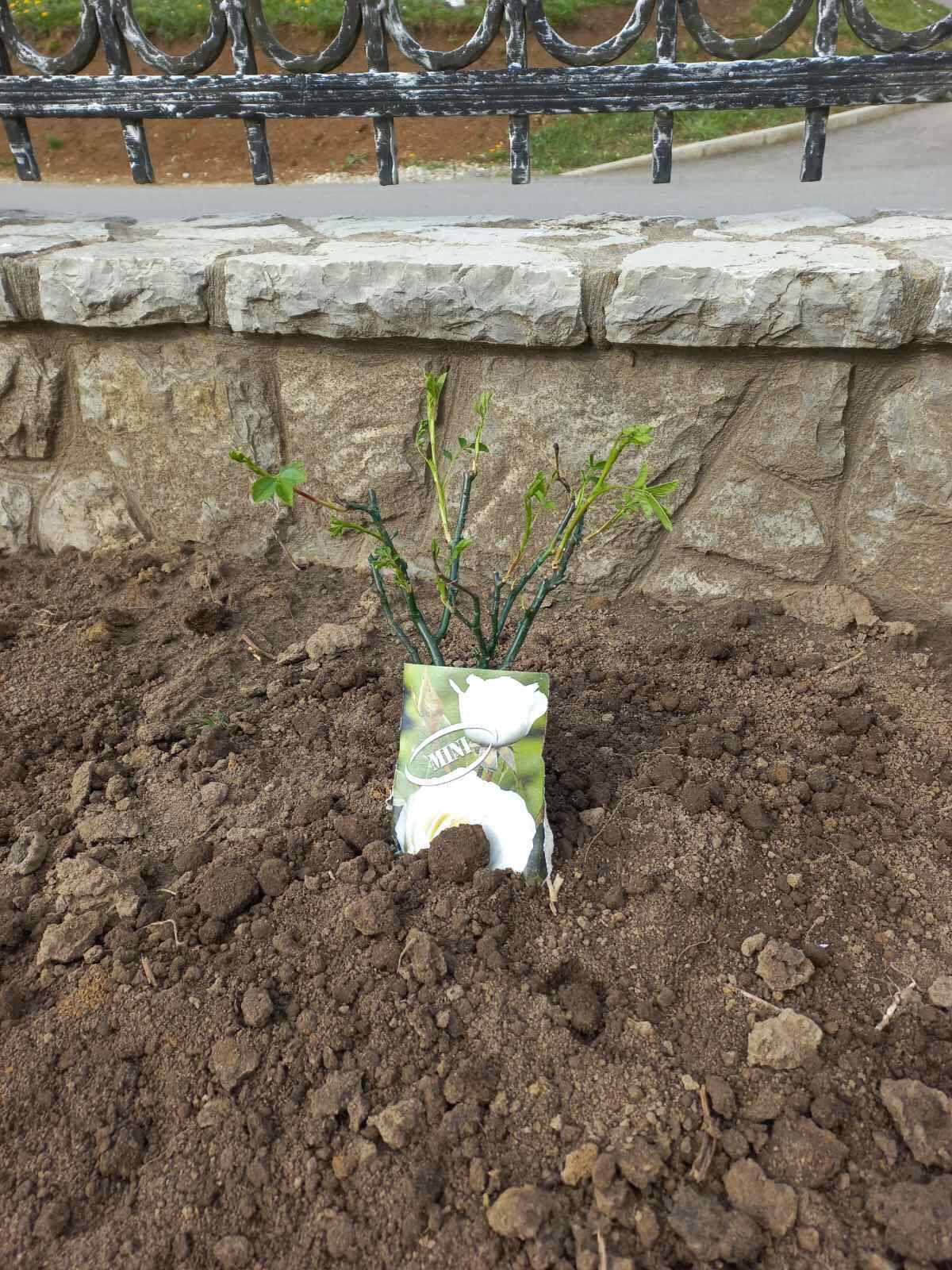agro projektiranje (316)