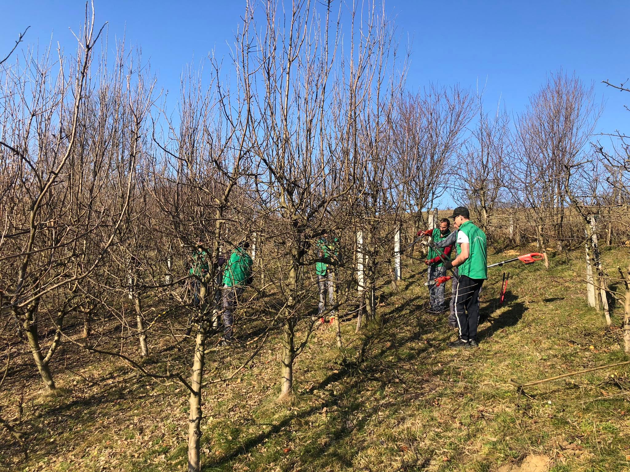 agro projektiranje (324)