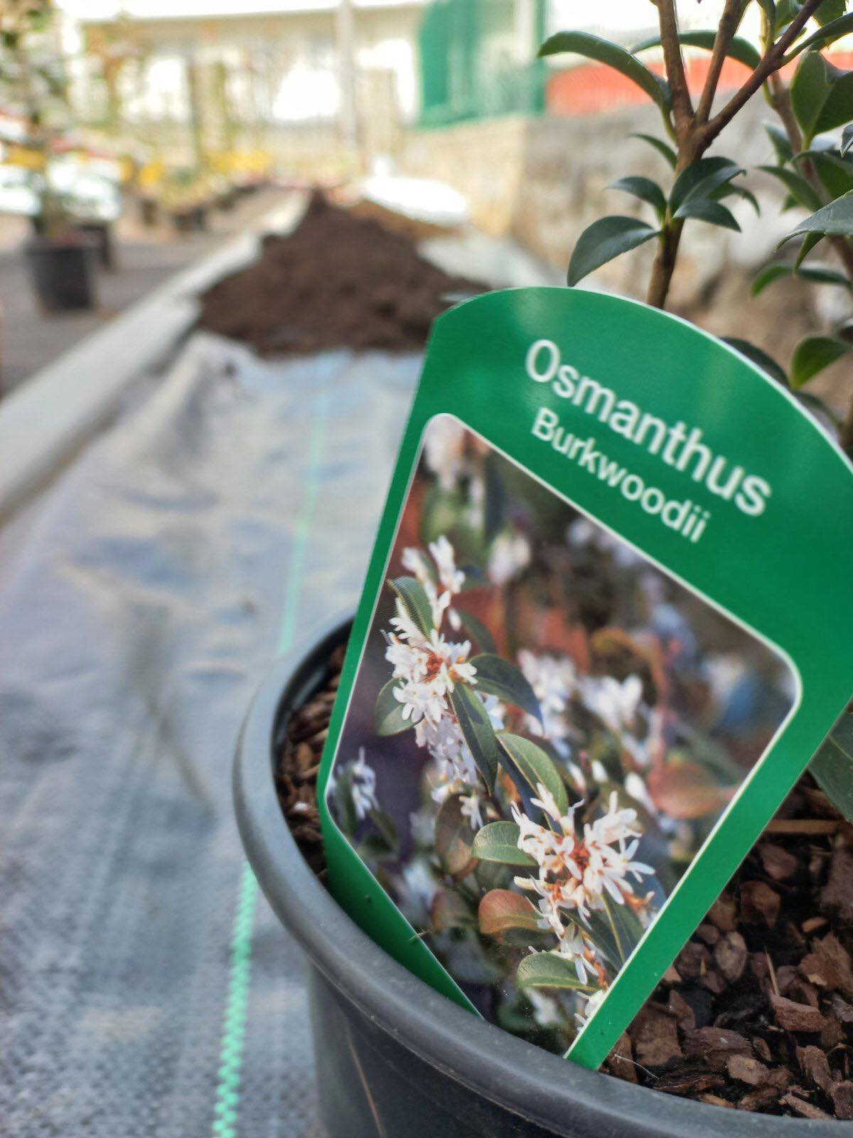 agro projektiranje (325)
