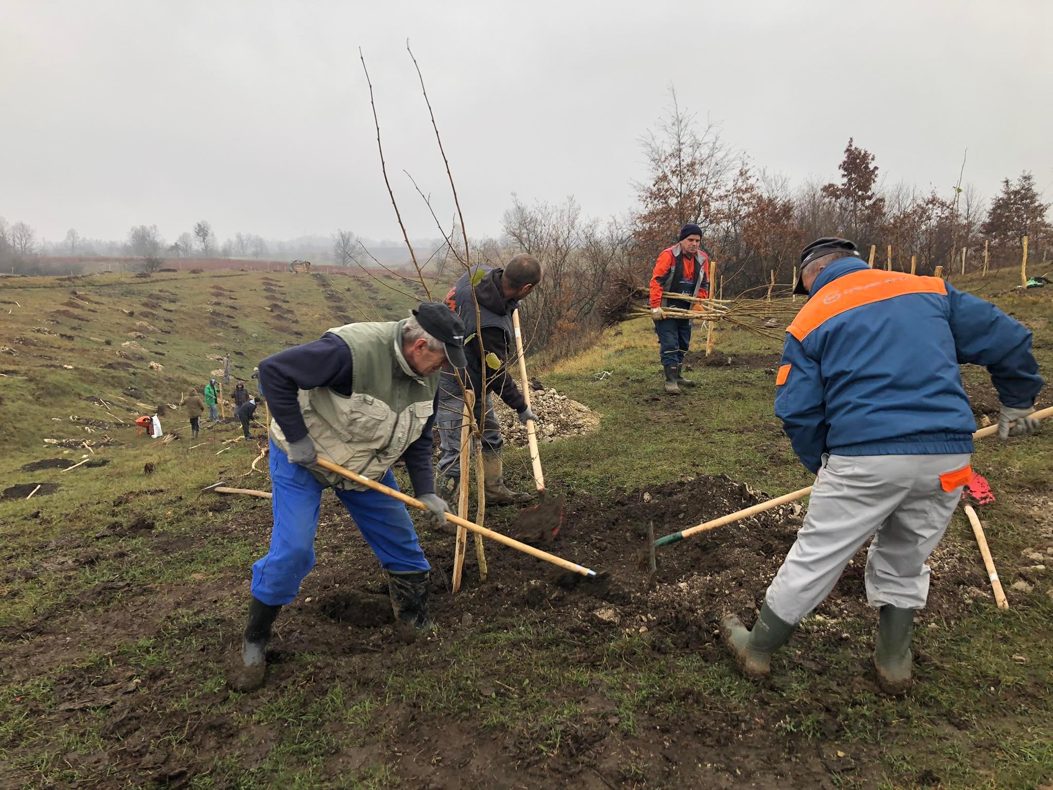 agro projektiranje (333)