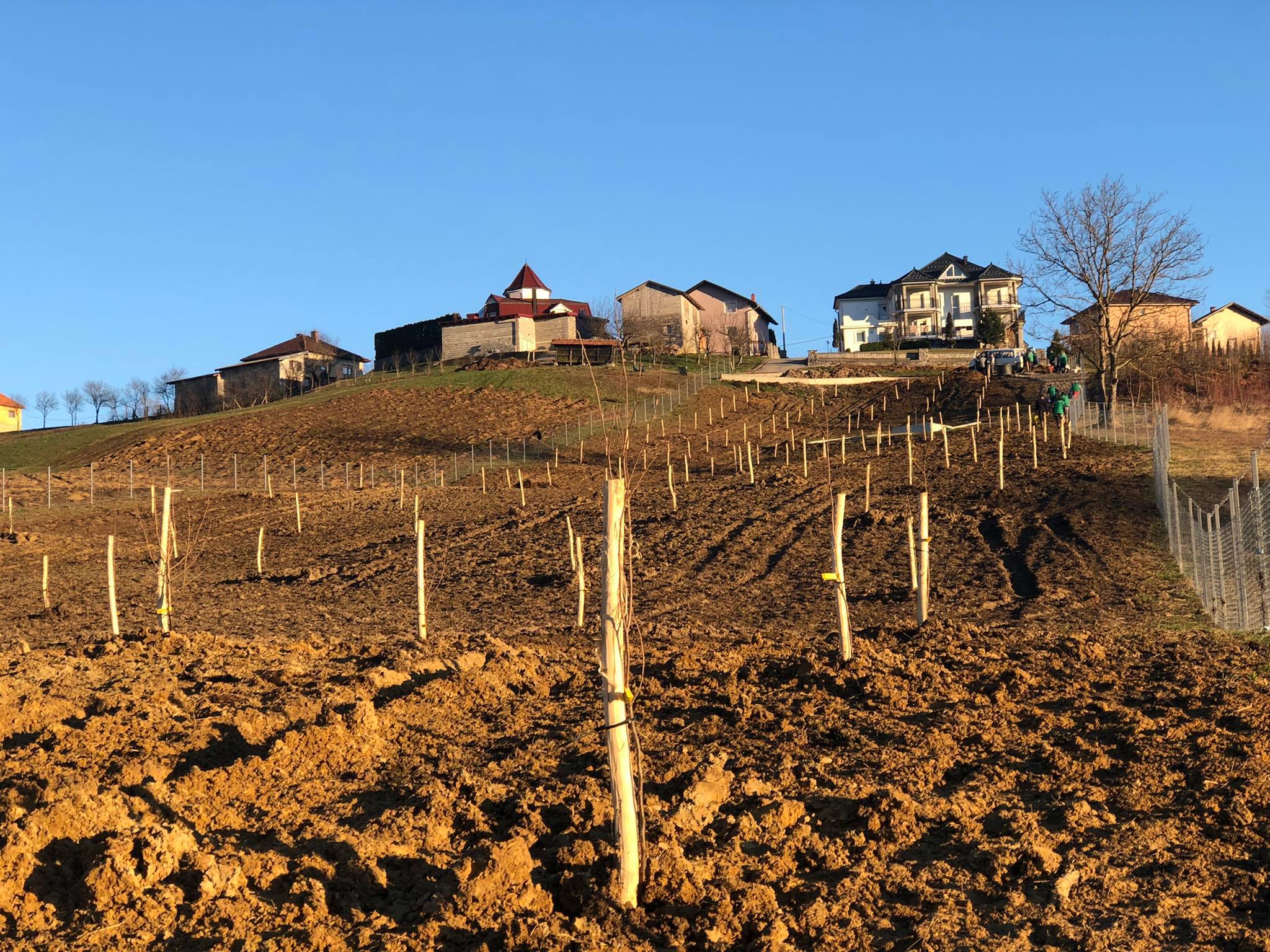 agro projektiranje (334)
