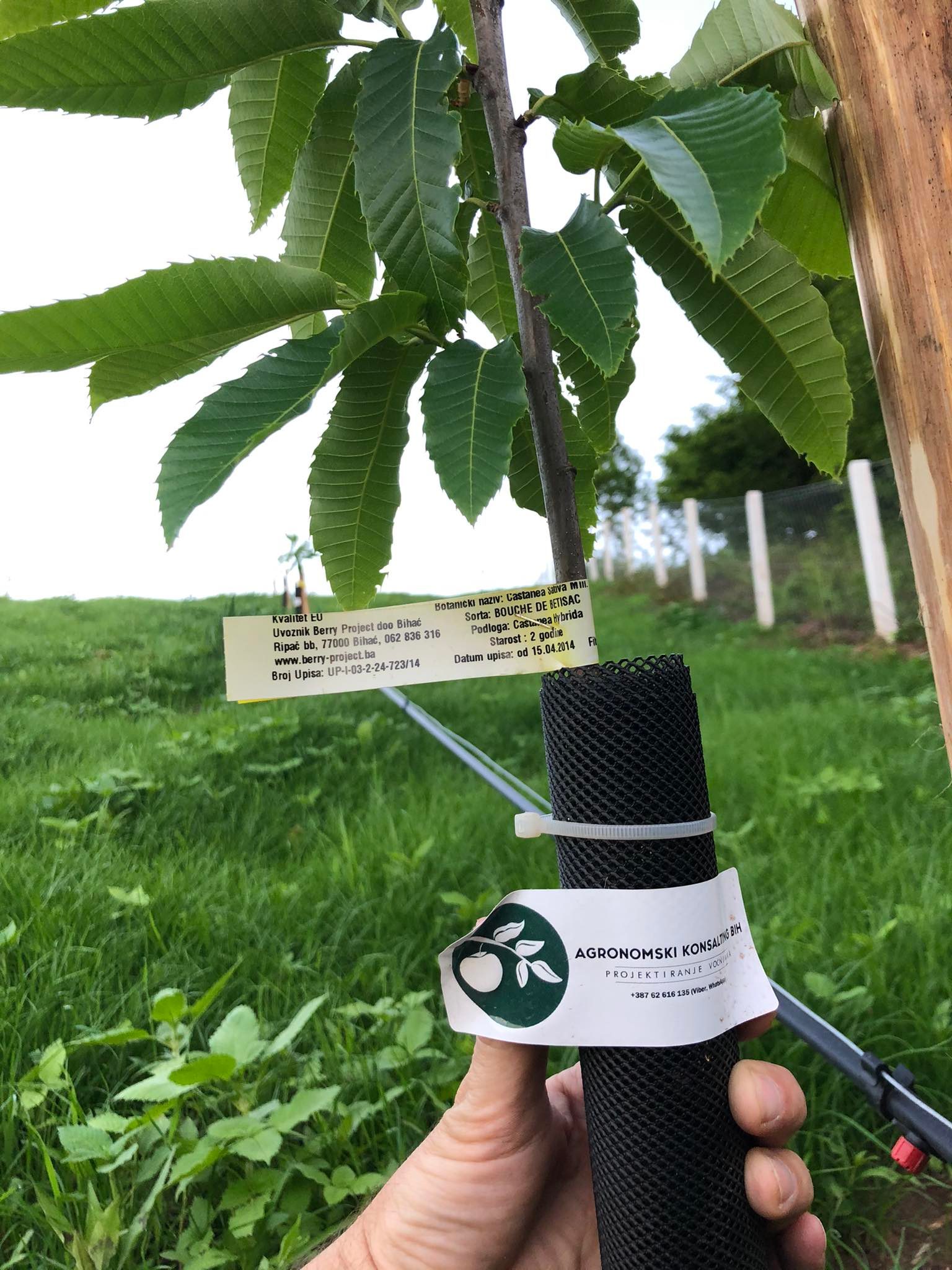 agro projektiranje (335)