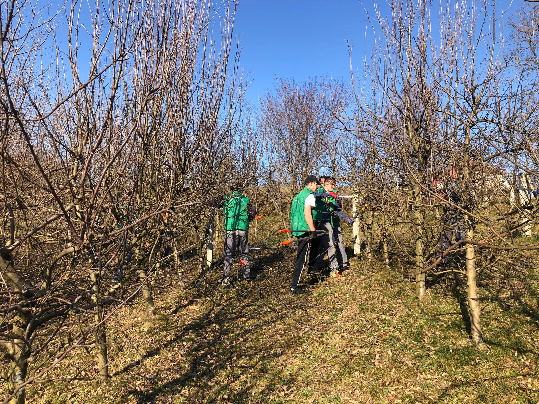 agro projektiranje (337)
