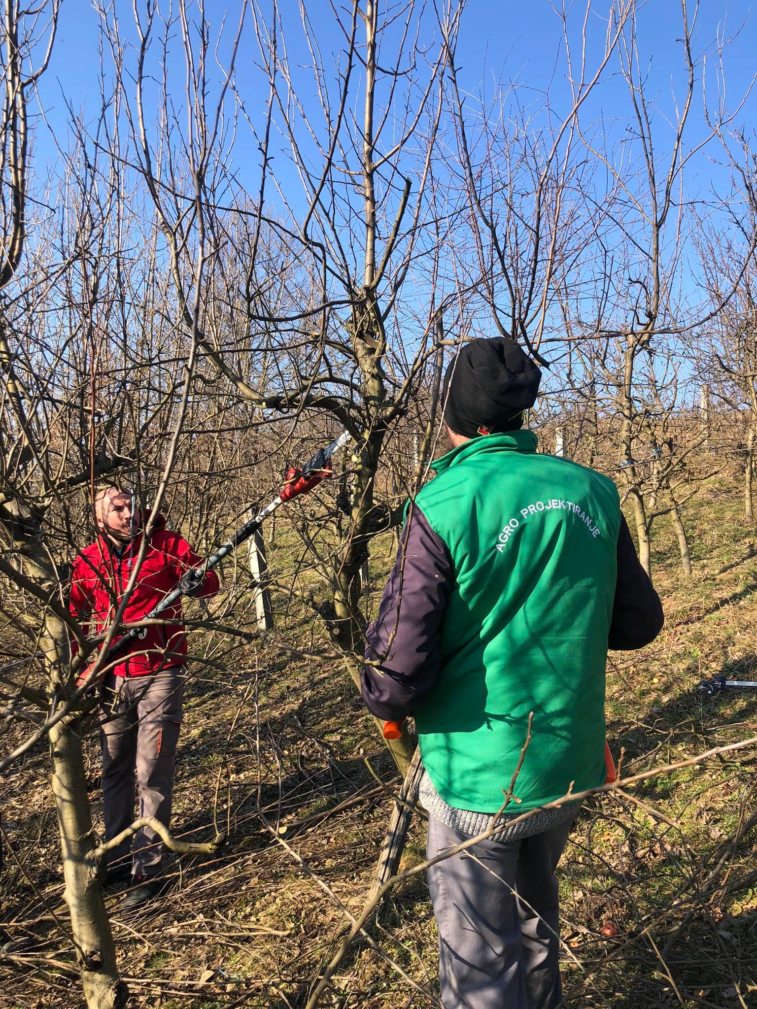 agro projektiranje (354)