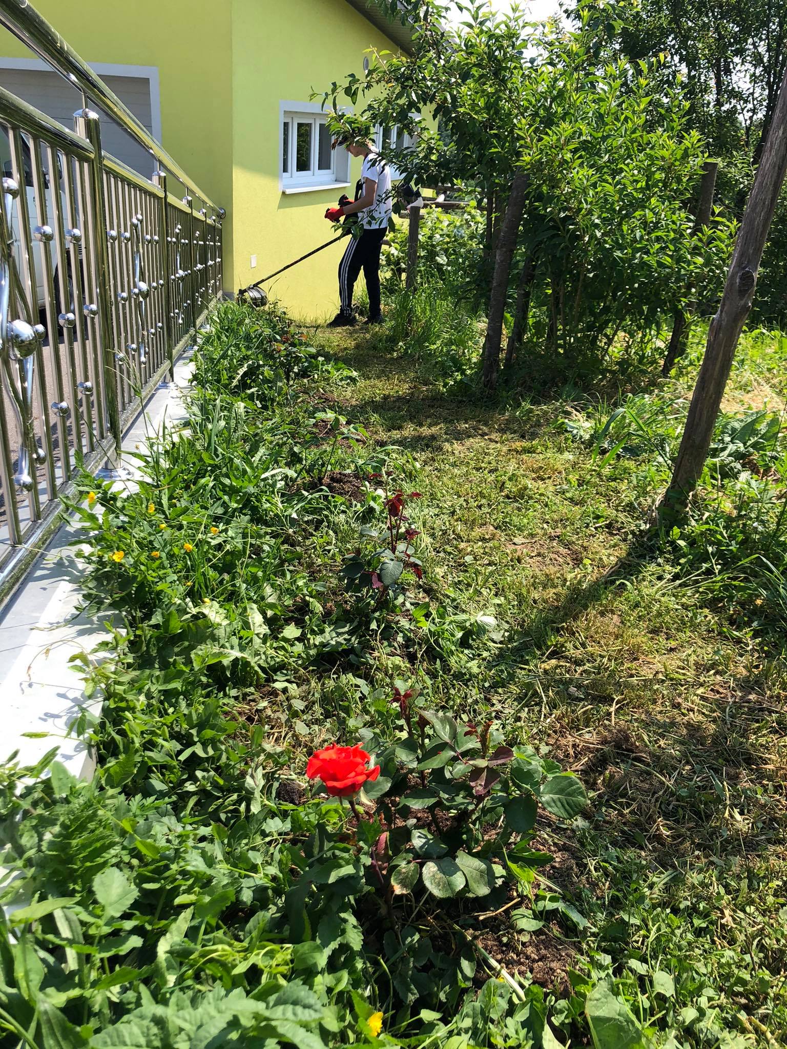 agro projektiranje (359)