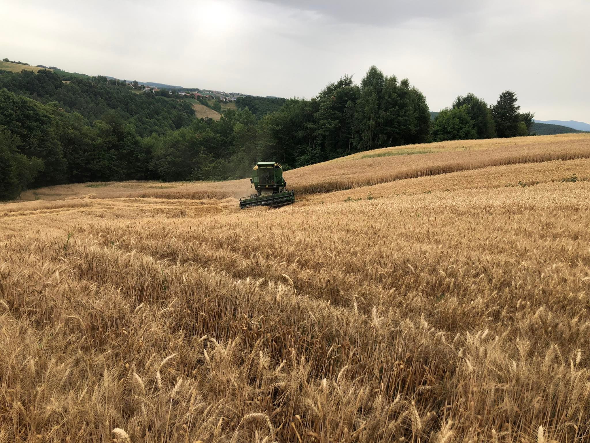 agro projektiranje (370)