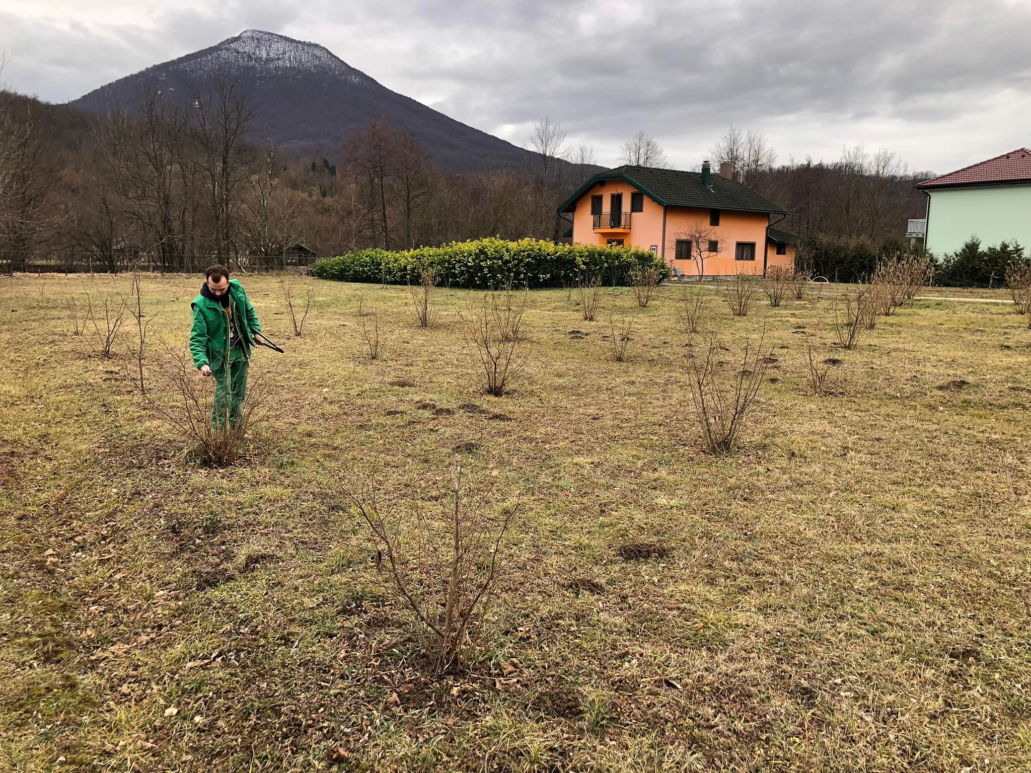 agro projektiranje (379)
