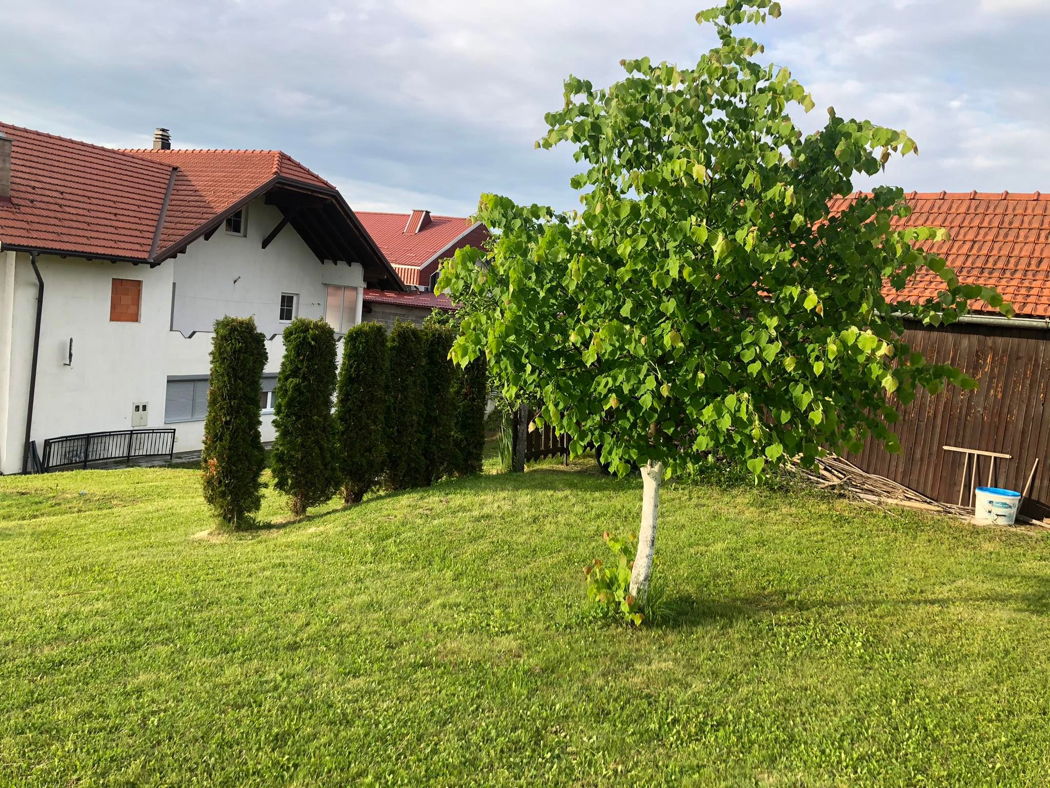 agro projektiranje (381)
