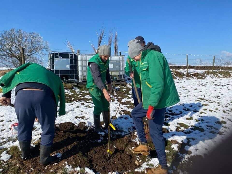 agro projektiranje (385)