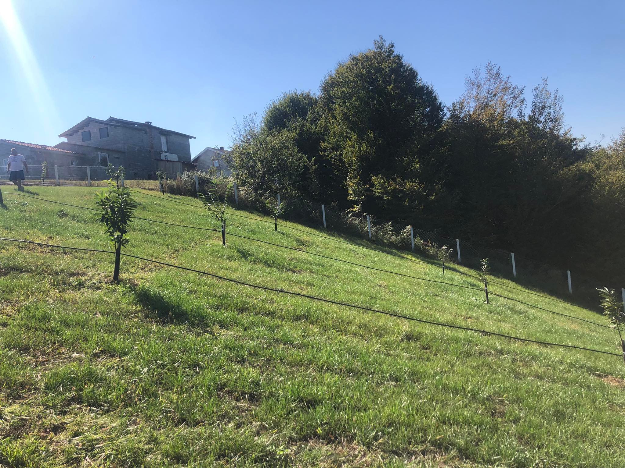 agro projektiranje (386)