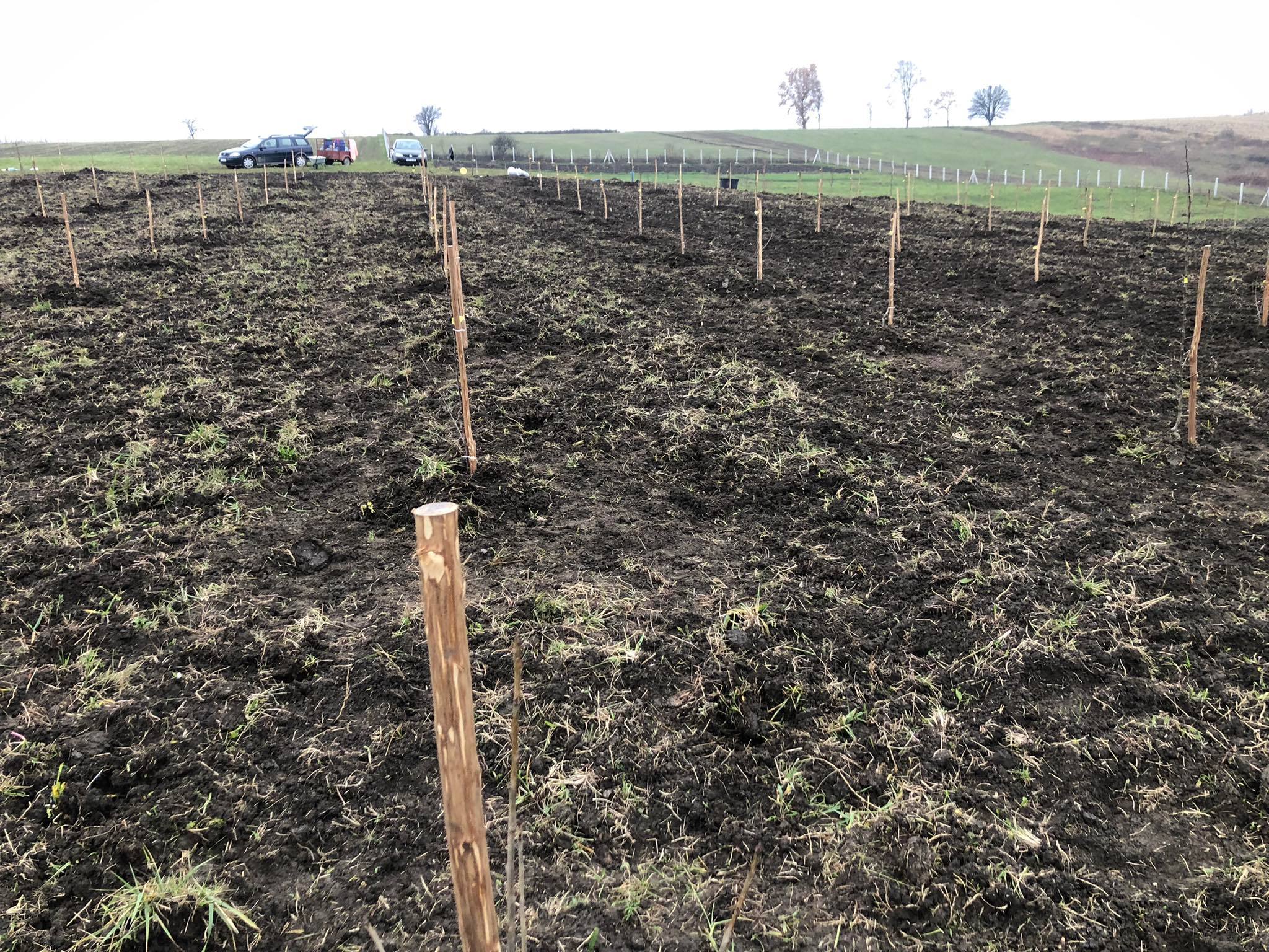 agro projektiranje (393)