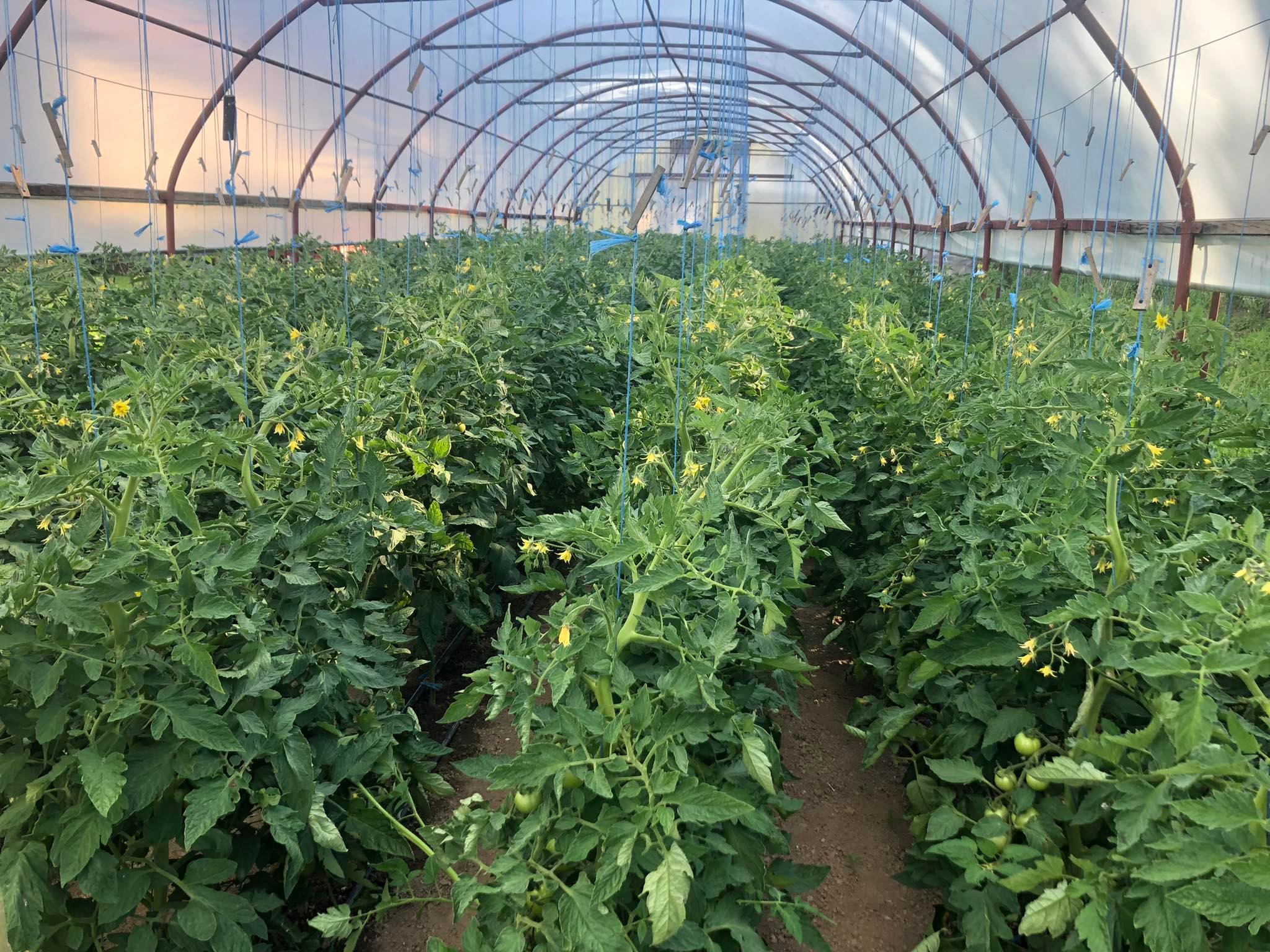 agro projektiranje (396)