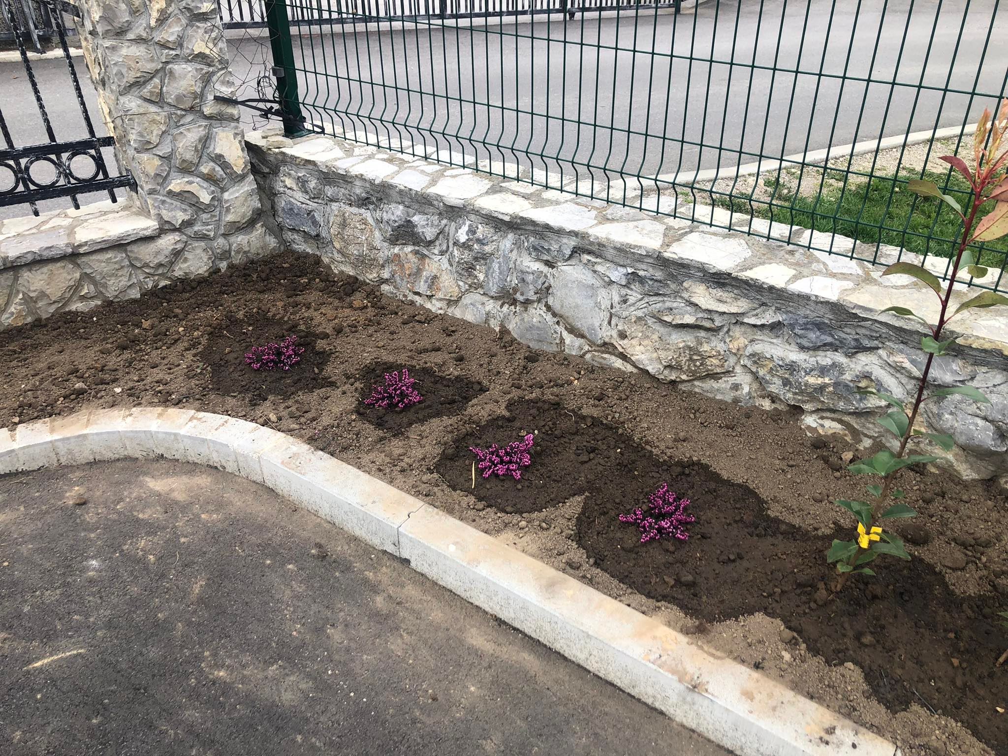 agro projektiranje (398)