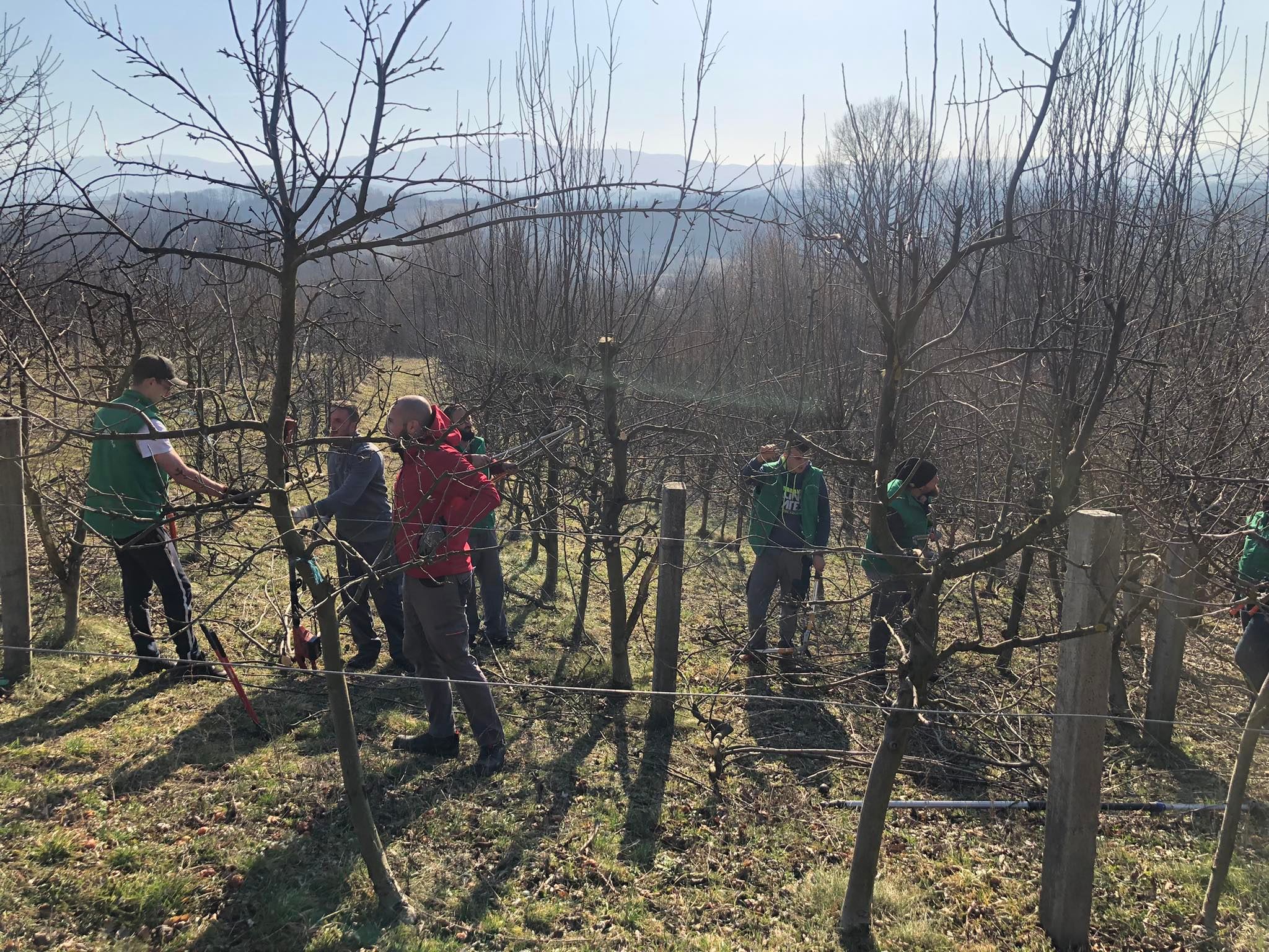 agro projektiranje (401)