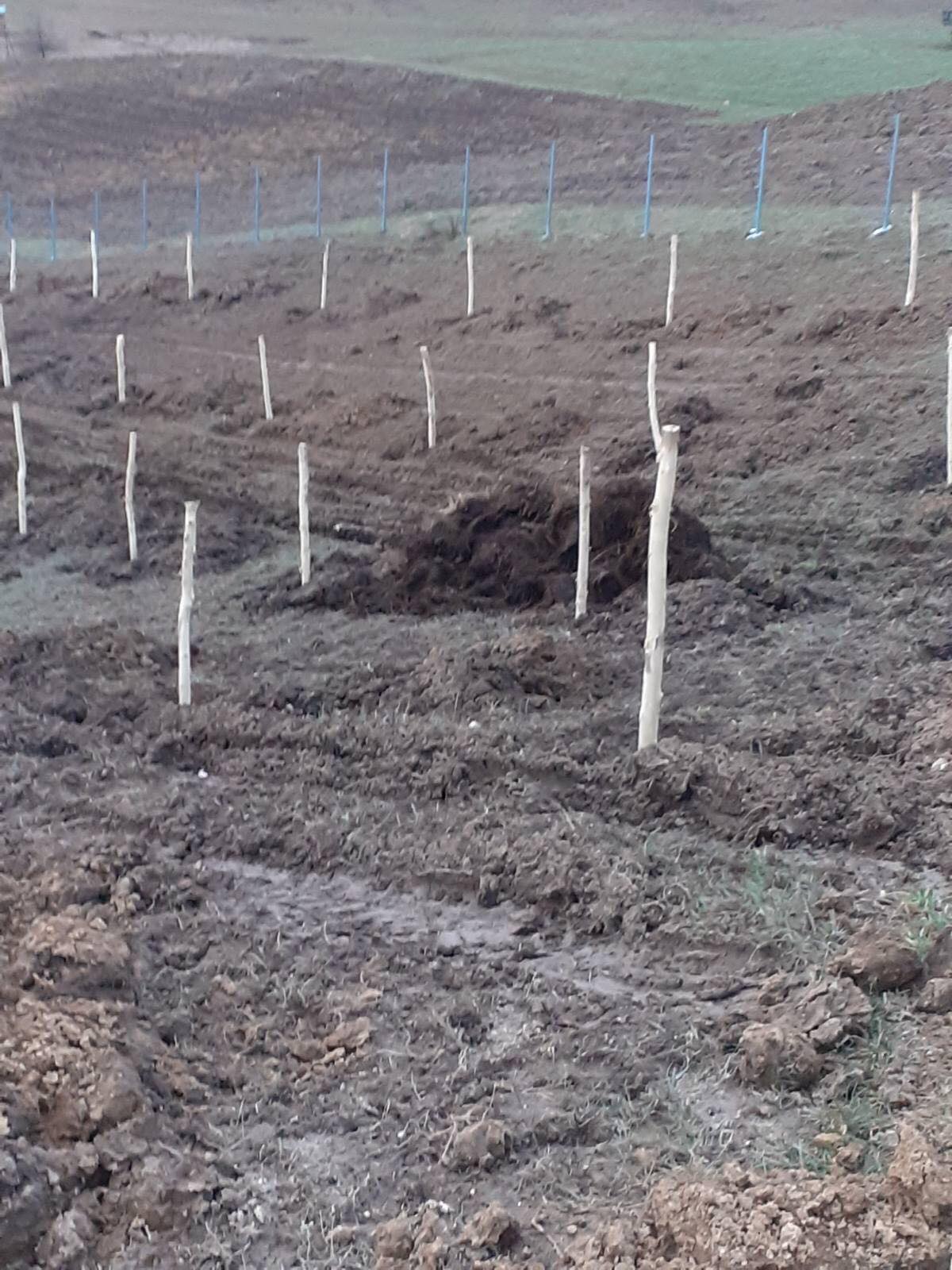 agro projektiranje (419)