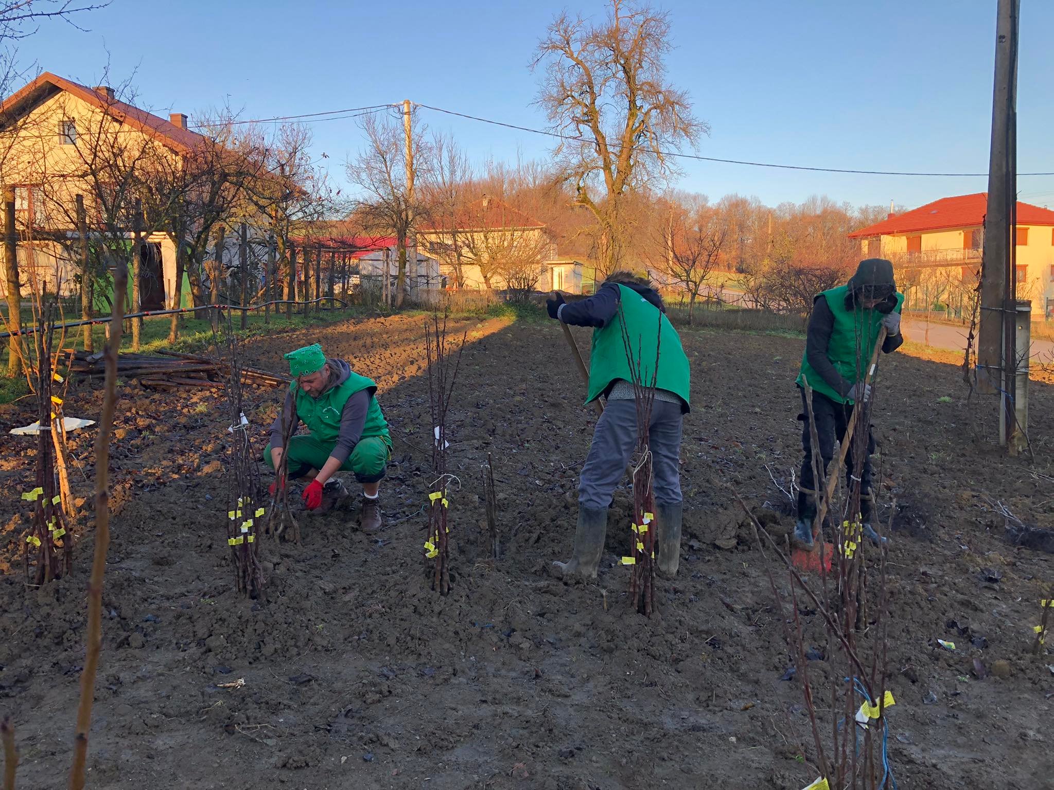 agro projektiranje (421)