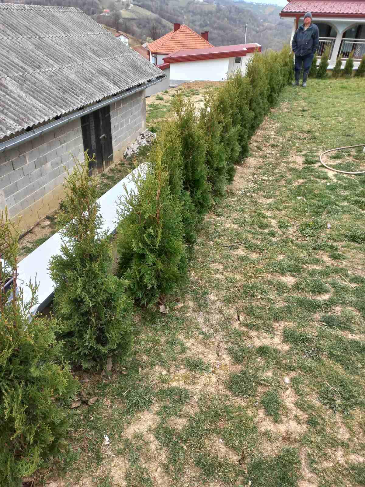 agro projektiranje (423)
