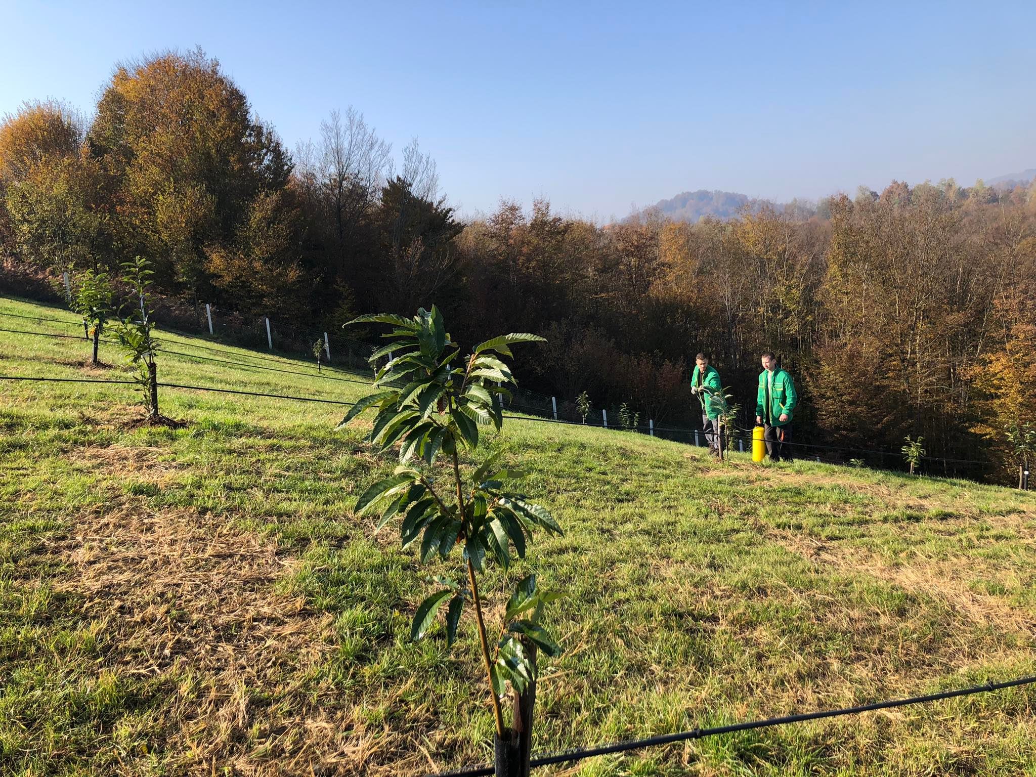 agro projektiranje (424)