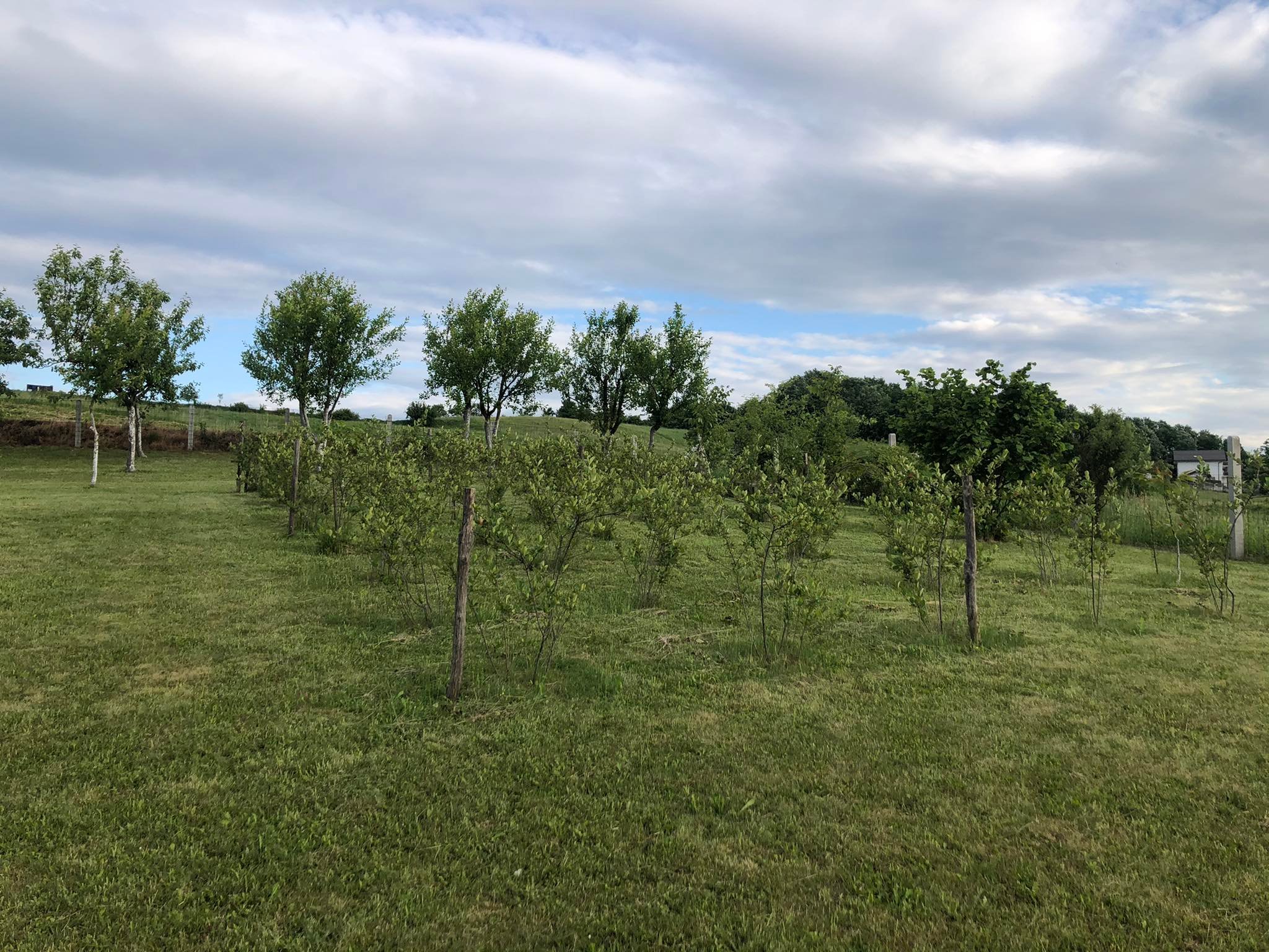 agro projektiranje (430)