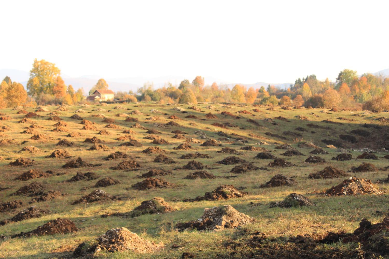 agro projektiranje (432)